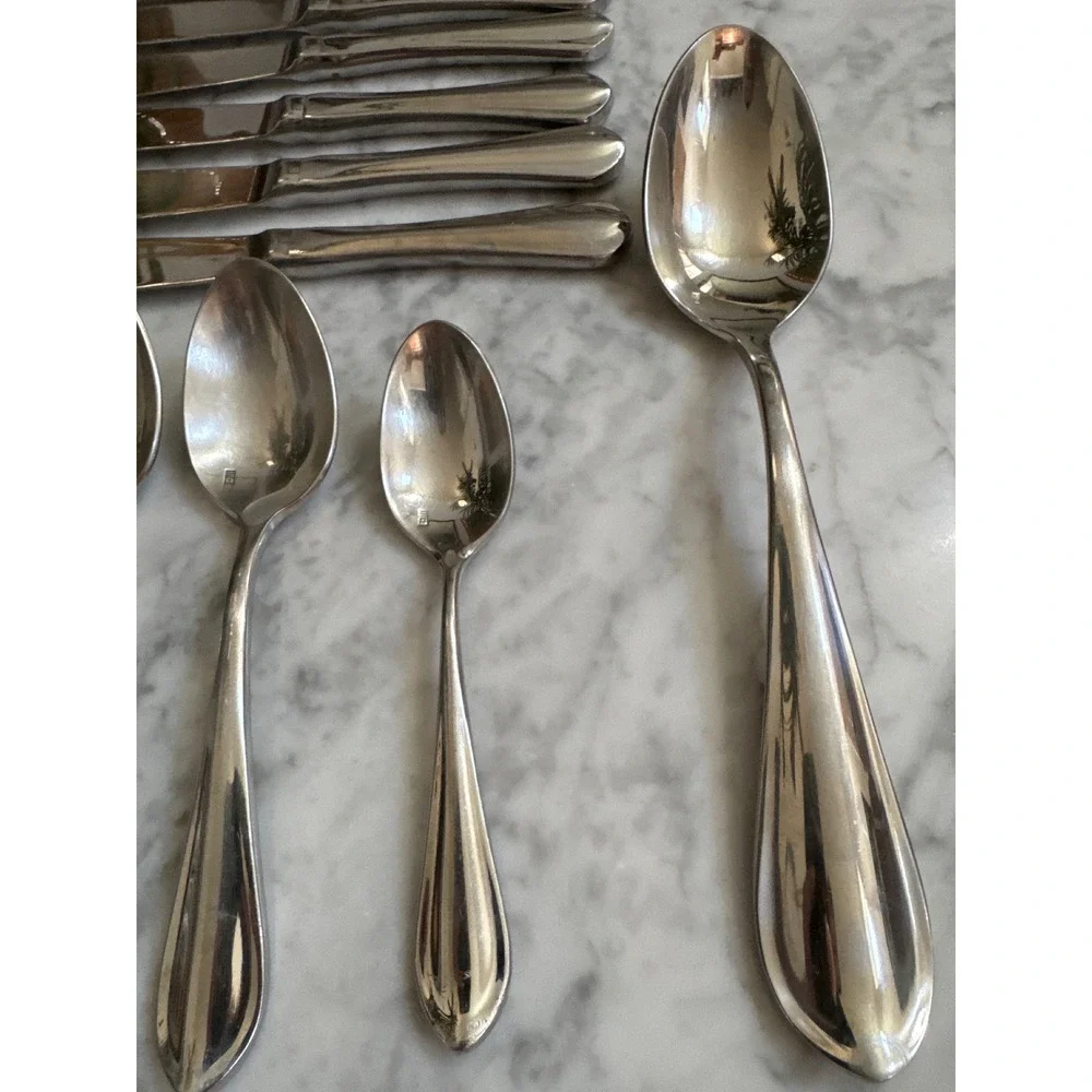 Fortessa forge stainless